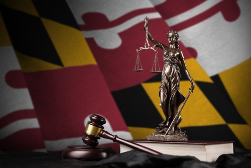 Trump administration sues Maryland federal court and its judges over standing order on deportations
