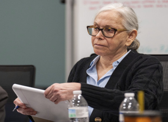Jailhouse informants testify they were asked to lie on behalf of Donna Adelson, woman on trial in law prof’s murder