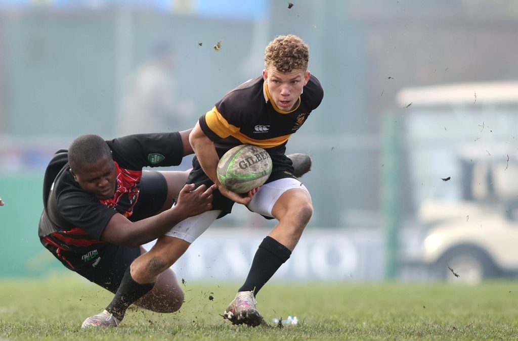 The rise and rise of Luan Giliomee