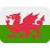 SA trio headline Baa-Baas team for Wales