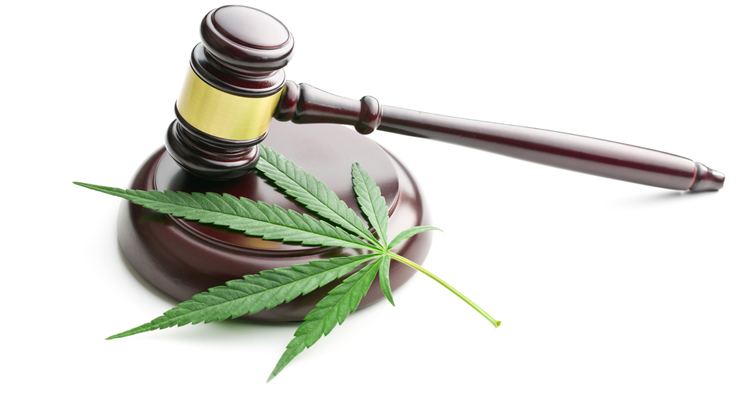 Lawyer convicted of orchestrating drug deals wins back law license