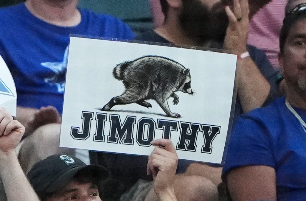Is Jimothy the raccoon too popular to be owned? IP attorneys weigh in