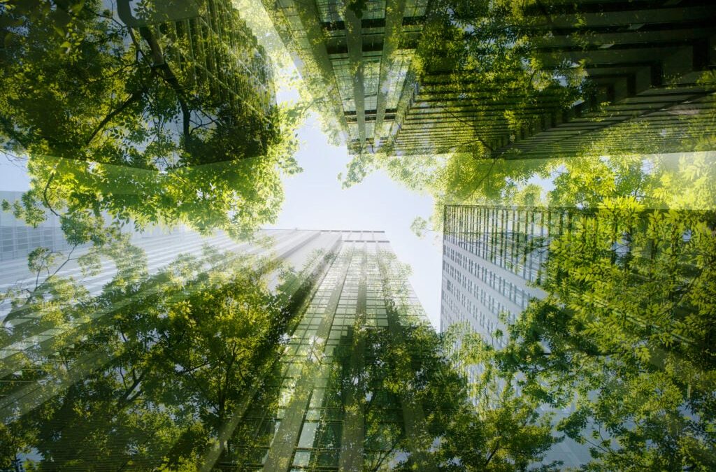 The 3 Things Every Healthy Organization Needs